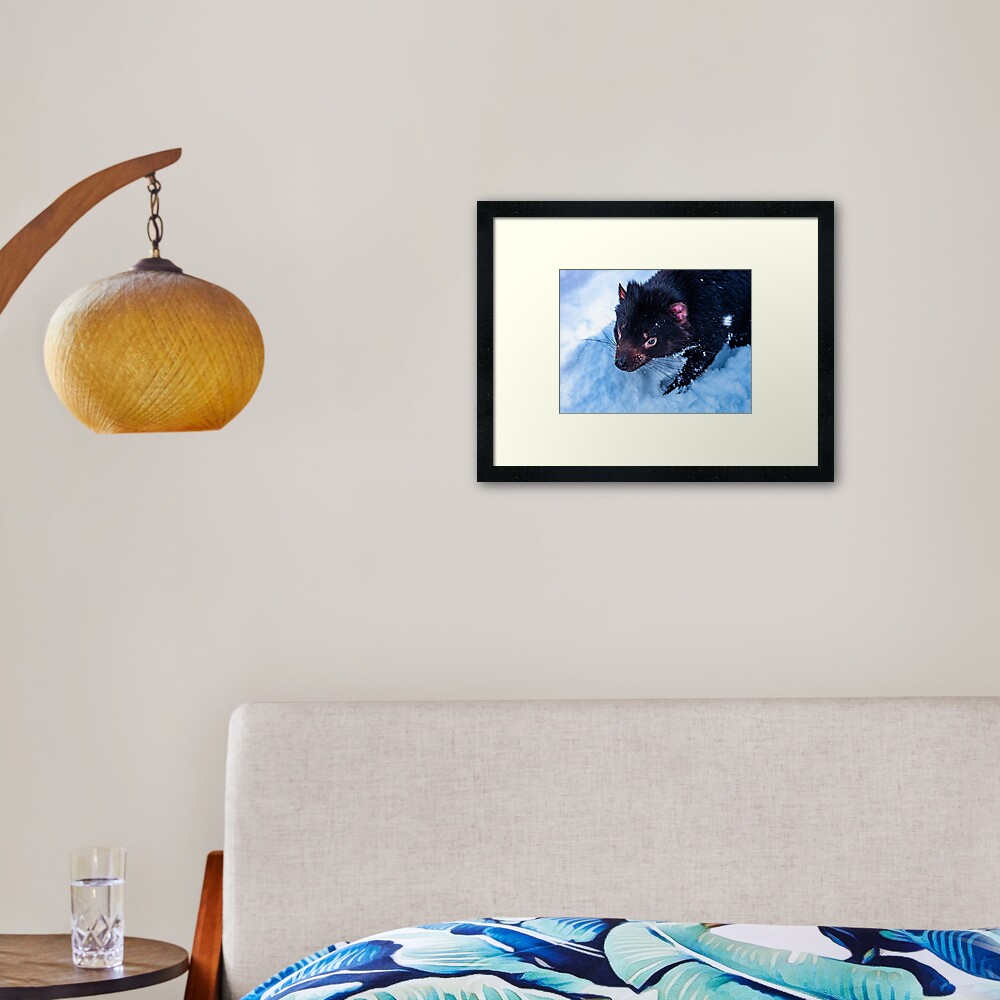Tasmanian Devil Framed Art Print