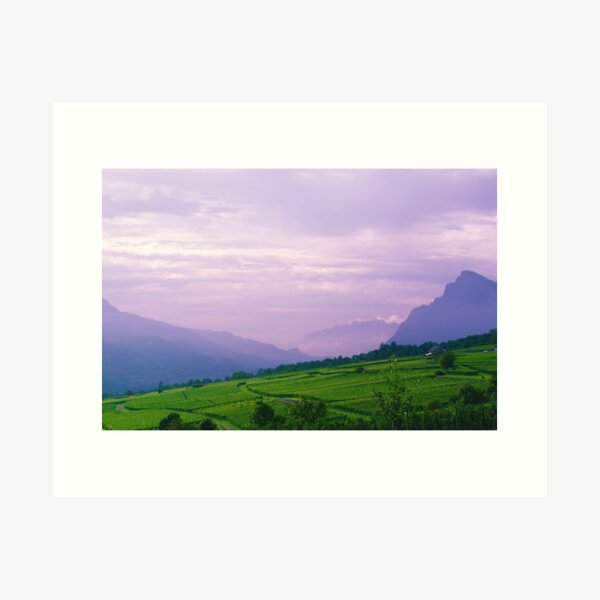 Valley of Vineyards Art Print