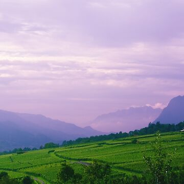 Artwork thumbnail, Valley of Vineyards by Mallorn