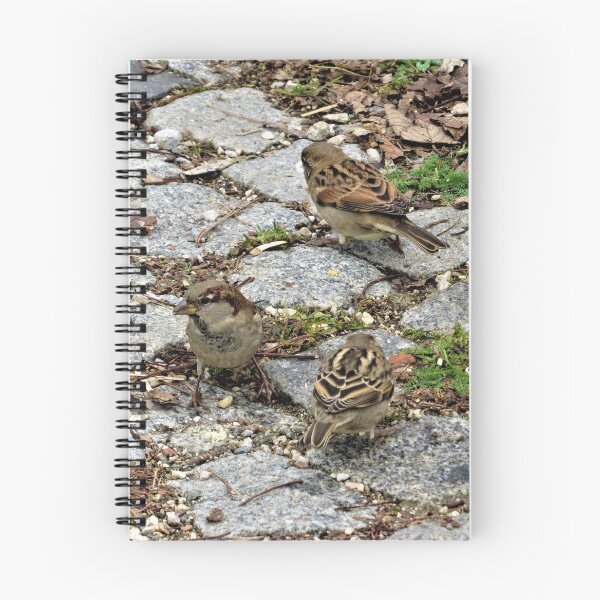 Item preview, House Sparrows designed and sold by tomeoftrovius.
