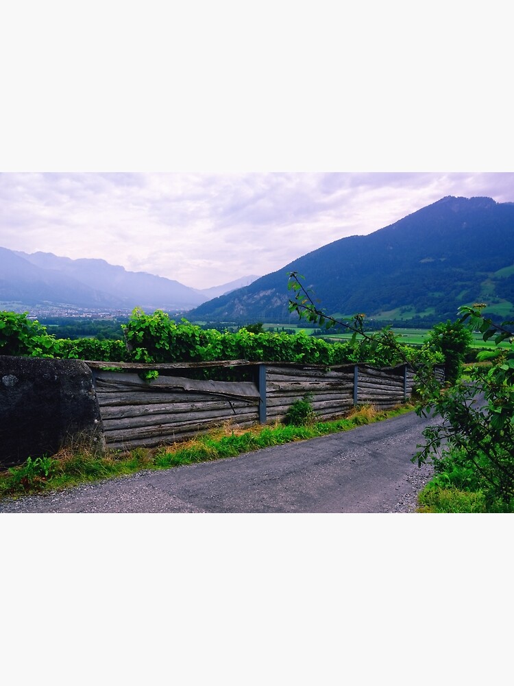 Thumbnail 3 of 3, Photographic Print, Valley of Vineyards designed and sold by Mallorn.