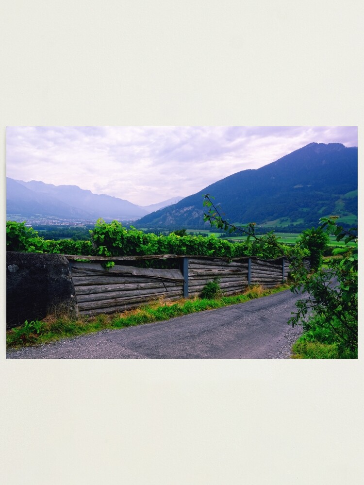 Thumbnail 1 of 3, Photographic Print, Valley of Vineyards designed and sold by Mallorn.