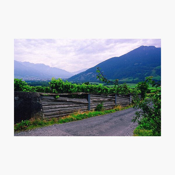 Photographic Print