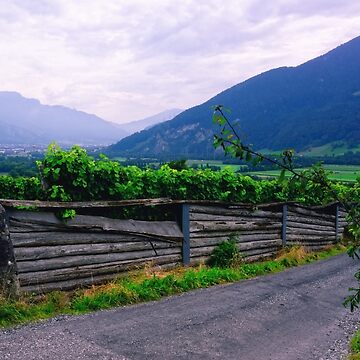 Artwork thumbnail, Valley of Vineyards by Mallorn