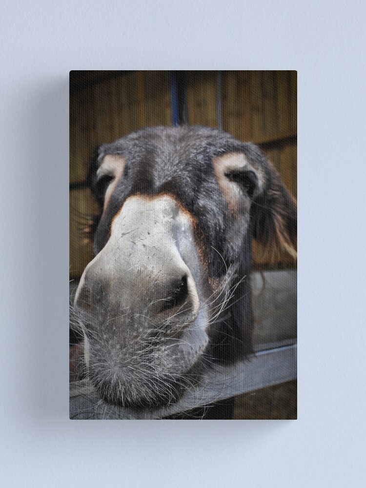 BILLY GOAT CANVAS PICTURE PRINT WALL ART FREE FAST UK DELIVERY