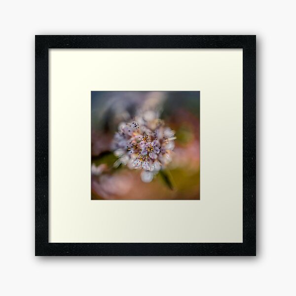 Flower Planet #2 Framed Art Print
