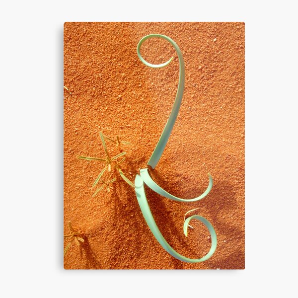 desert ideogram Metal Print
