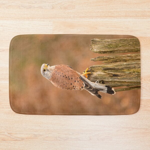 Item preview, Perched Raptor designed and sold by Dave Hare Photography.