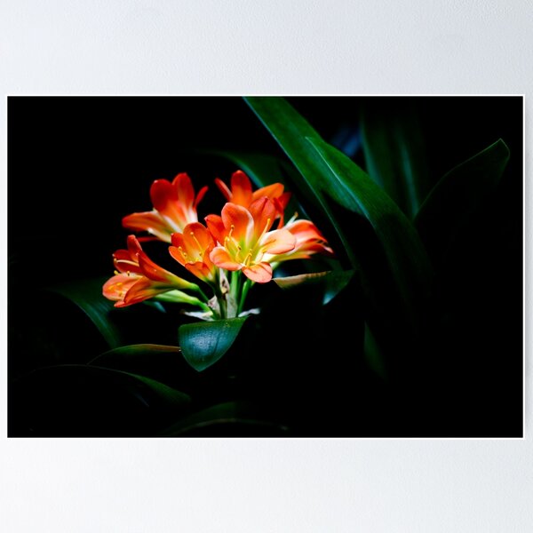 Item preview, Orange Flowers designed and sold by David  T Anderson.