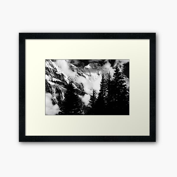 Framed Art Print