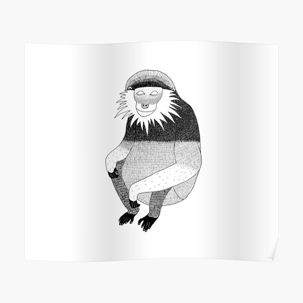 Red-Shanked Douc (ink illustrations of weird animals that are real) Poster