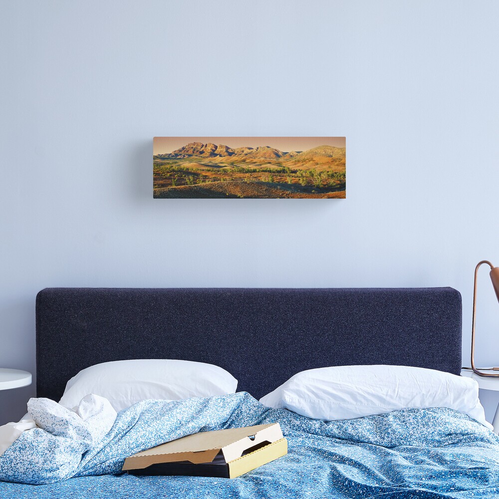 Elder Range, Flinders Ranges, South Australia Canvas Print