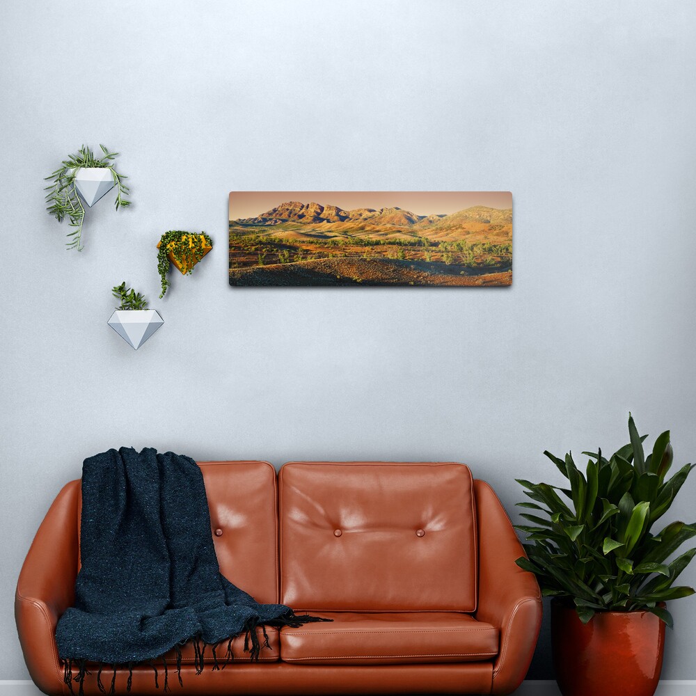 Elder Range, Flinders Ranges, South Australia Metal Print