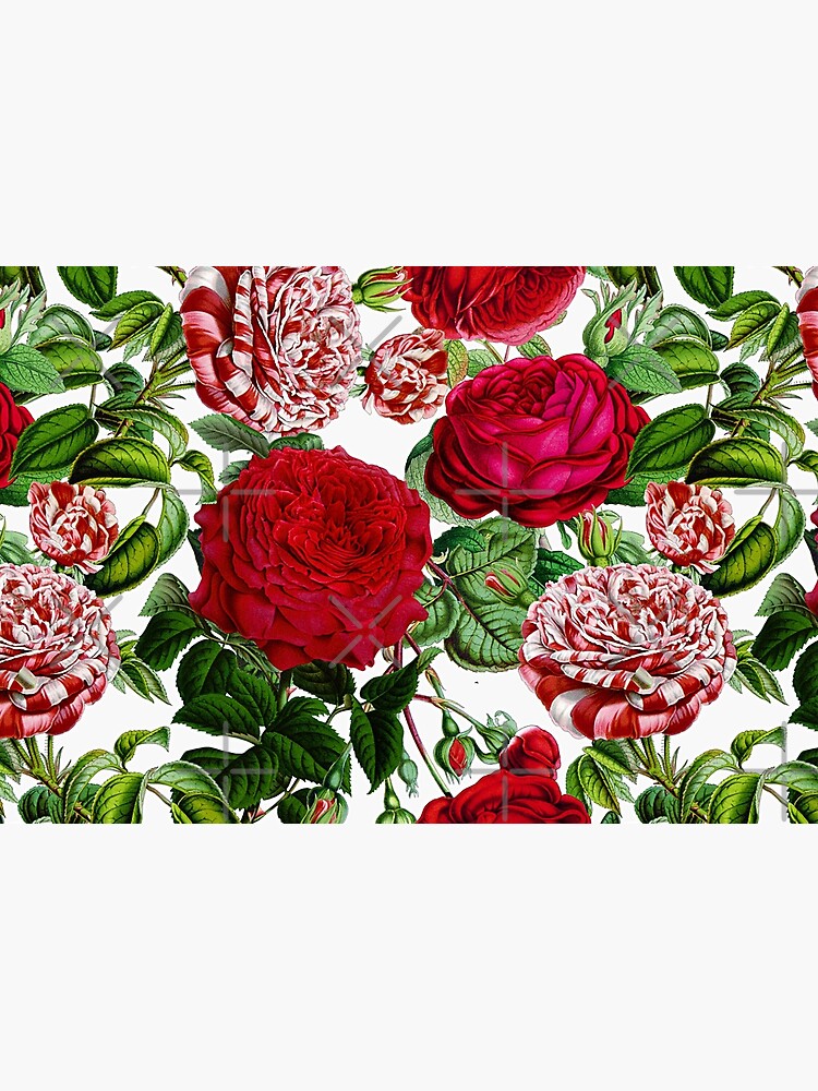Summer Roses by UtArt