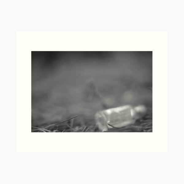 found object - bottle Art Print