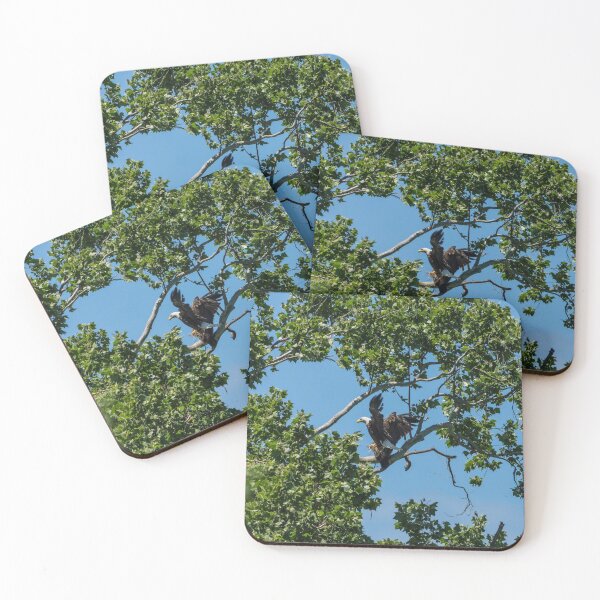 Item preview, Bringing In Nesting designed and sold by mljdwhite.