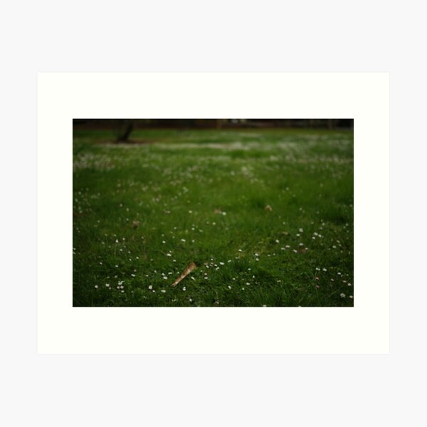 grass sings green Art Print