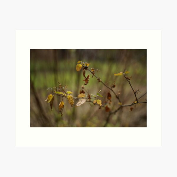 winter is almost over Art Print