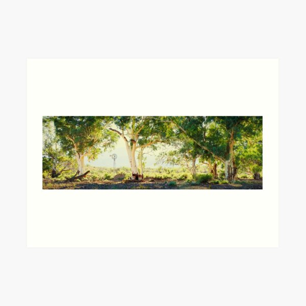 River Gums, Flinders Ranges, South Australia Art Print
