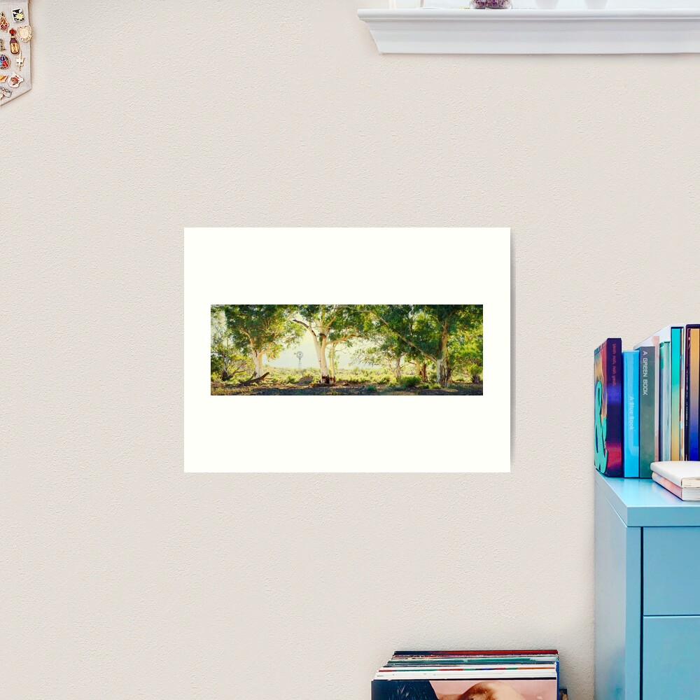 River Gums, Flinders Ranges, South Australia Art Print