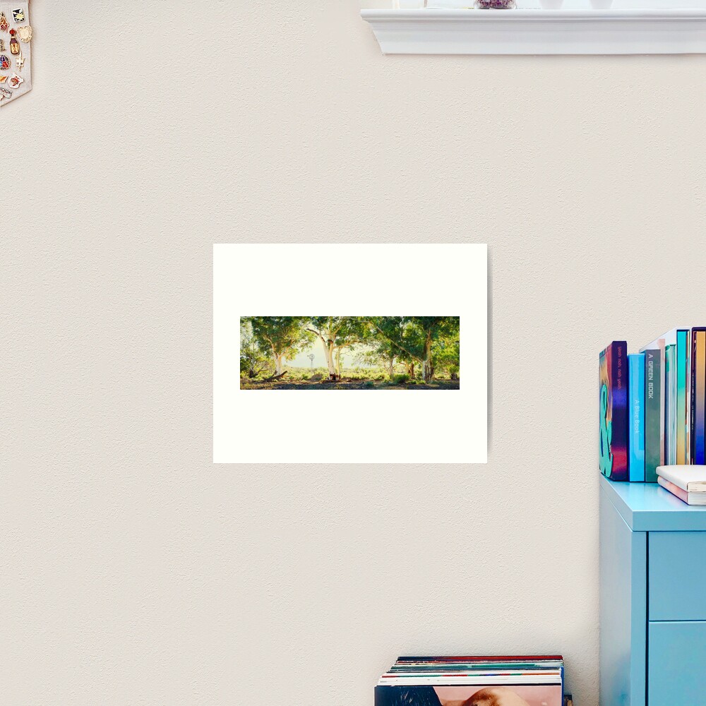 River Gums, Flinders Ranges, South Australia Art Print