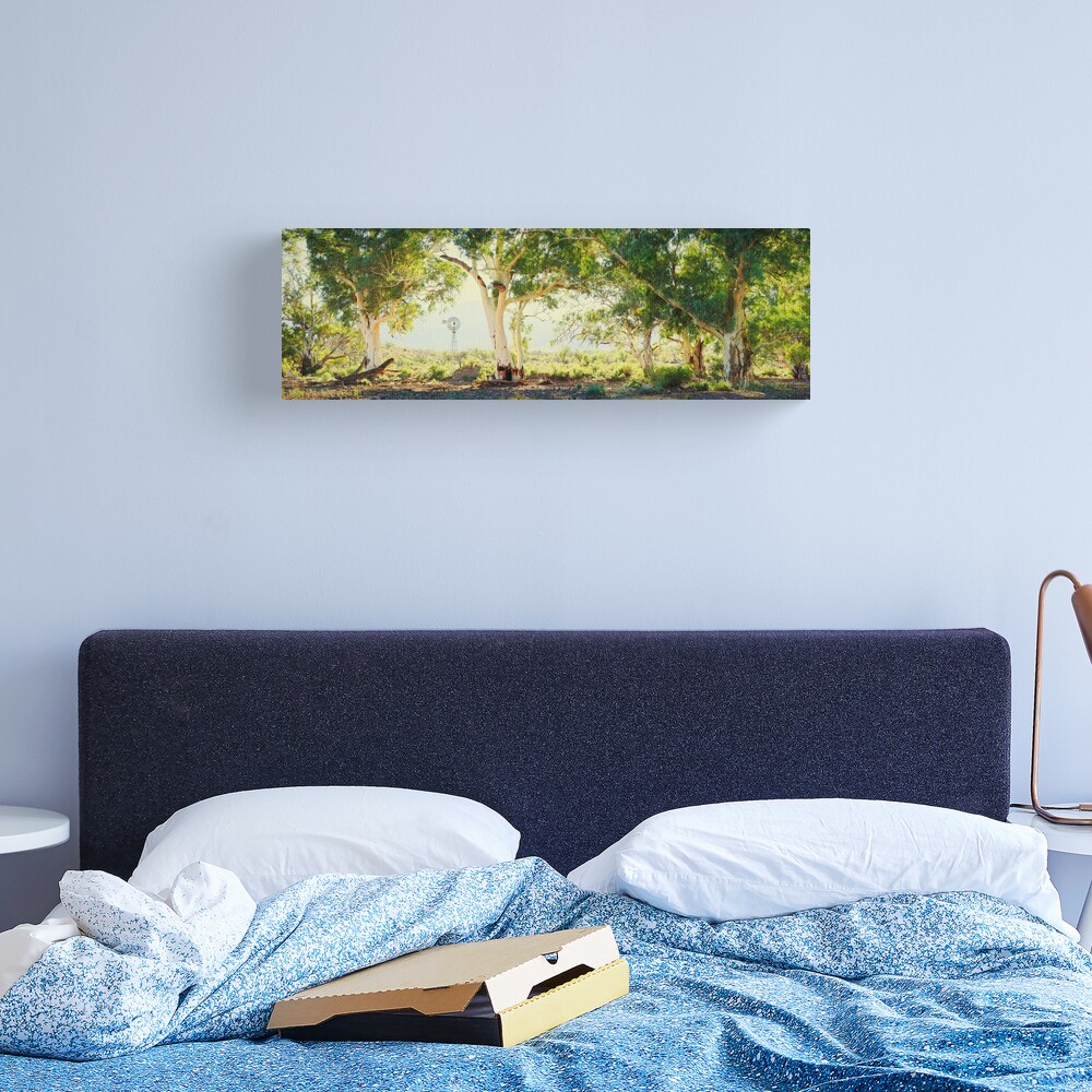 River Gums, Flinders Ranges, South Australia Canvas Print