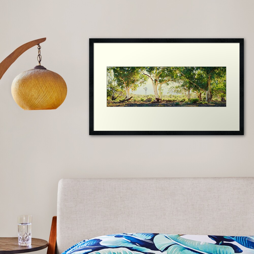 River Gums, Flinders Ranges, South Australia Framed Art Print