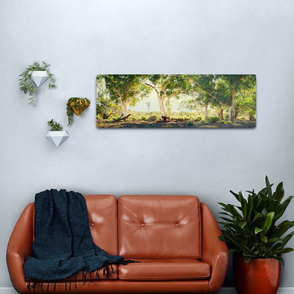River Gums, Flinders Ranges, South Australia Metal Print