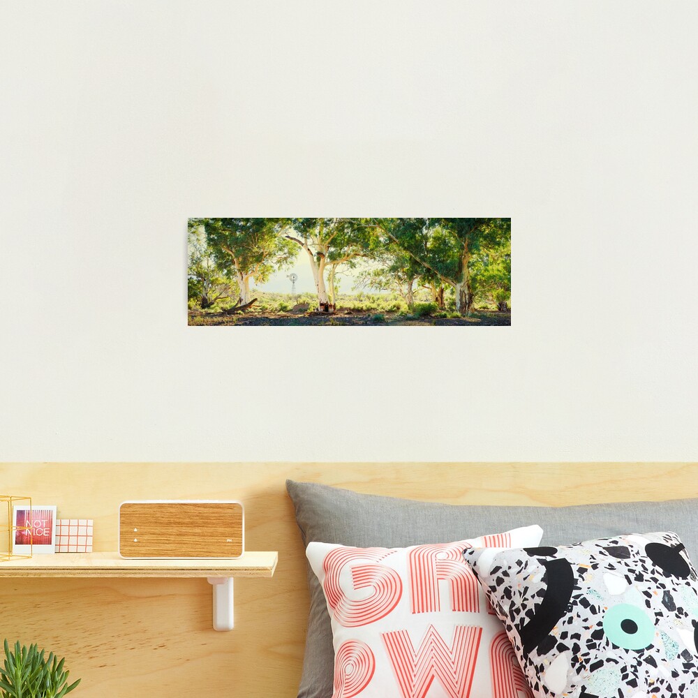 River Gums, Flinders Ranges, South Australia Photographic Print