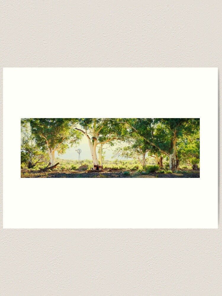 Alternate view of River Gums, Flinders Ranges, South Australia Art Print