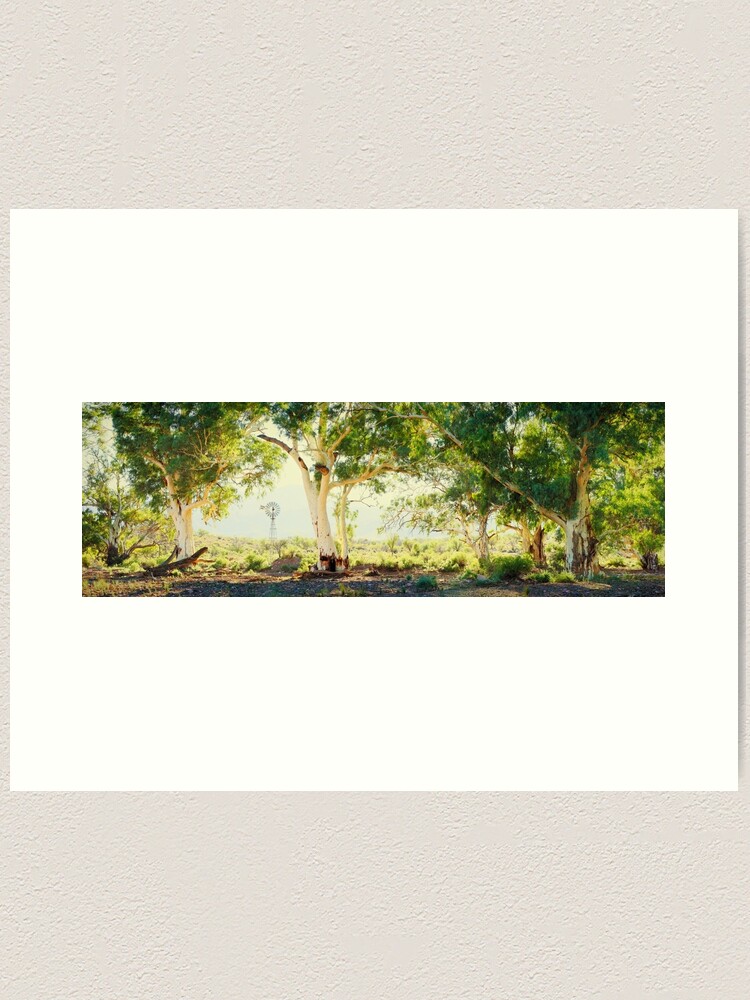 Alternate view of River Gums, Flinders Ranges, South Australia Art Print