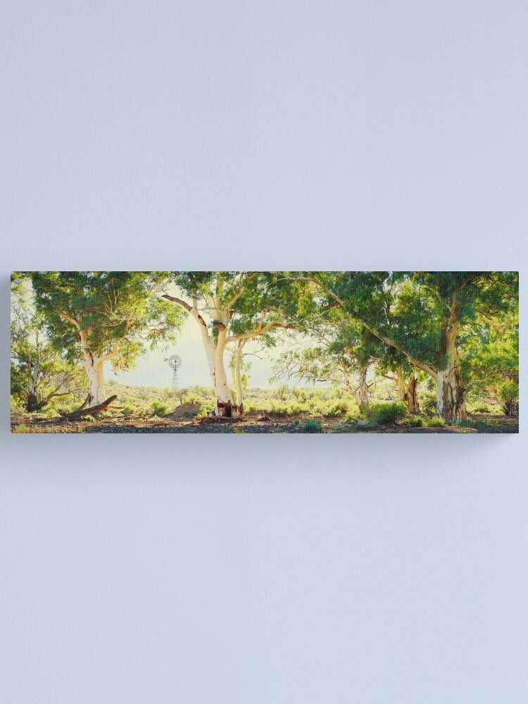 Alternate view of River Gums, Flinders Ranges, South Australia Canvas Print