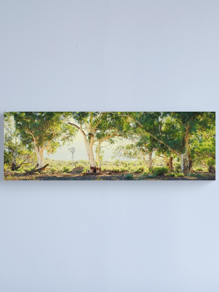 Alternate view of River Gums, Flinders Ranges, South Australia Canvas Print