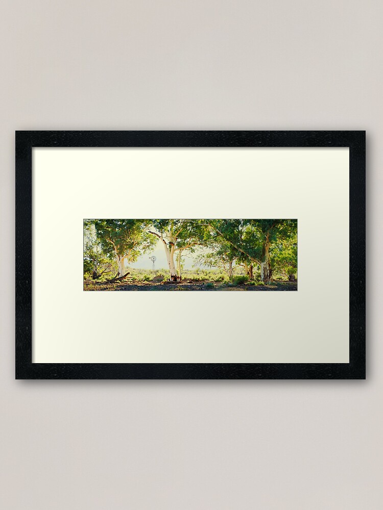 Alternate view of River Gums, Flinders Ranges, South Australia Framed Art Print