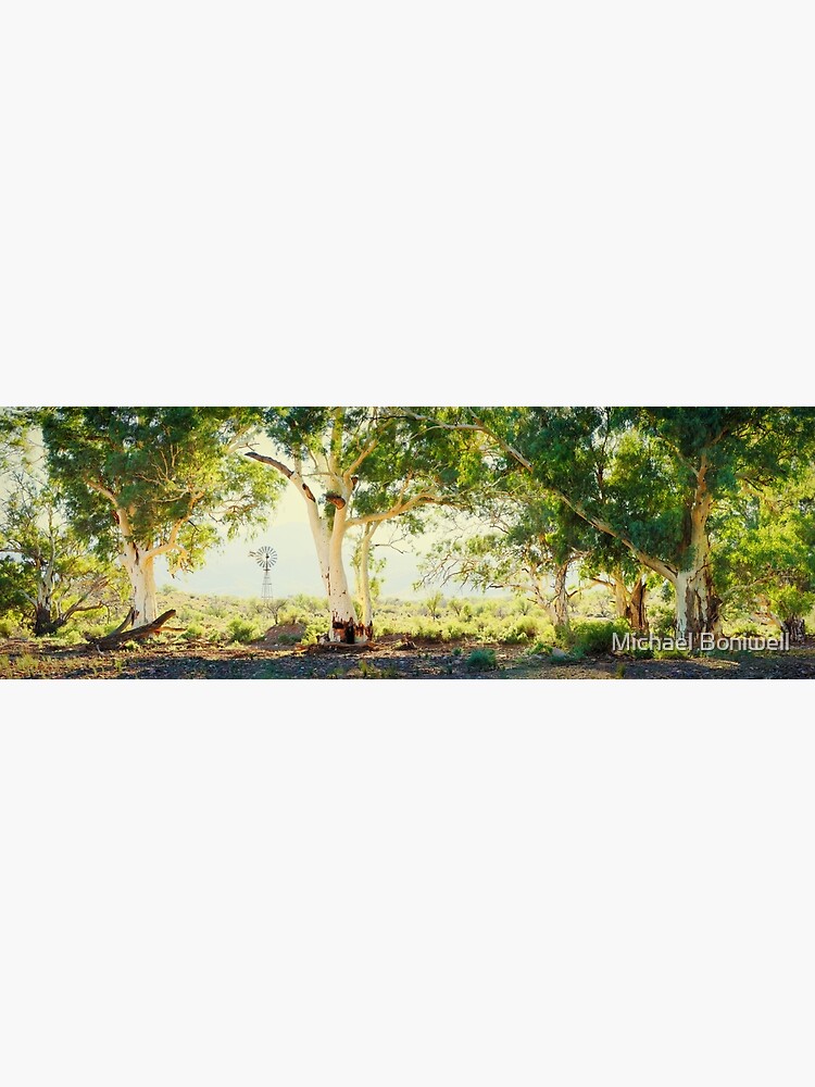River Gums, Flinders Ranges, South Australia by Chockstone