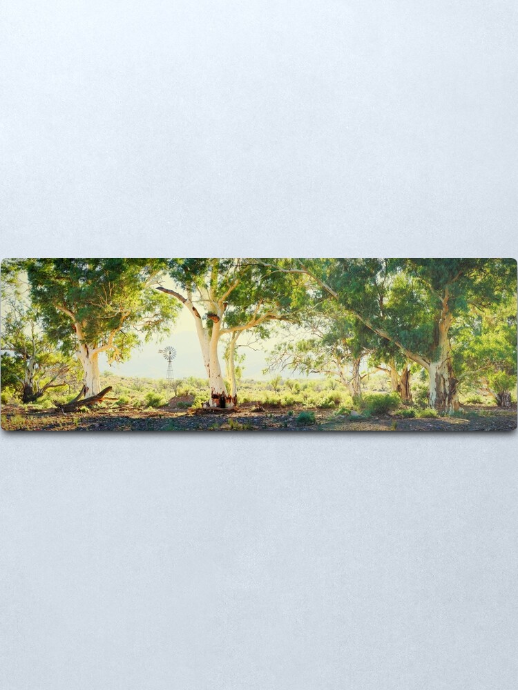 Alternate view of River Gums, Flinders Ranges, South Australia Metal Print