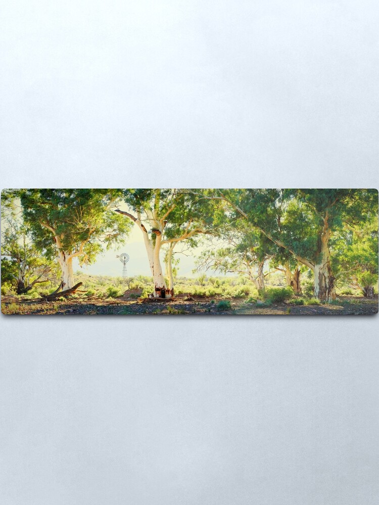 Alternate view of River Gums, Flinders Ranges, South Australia Metal Print