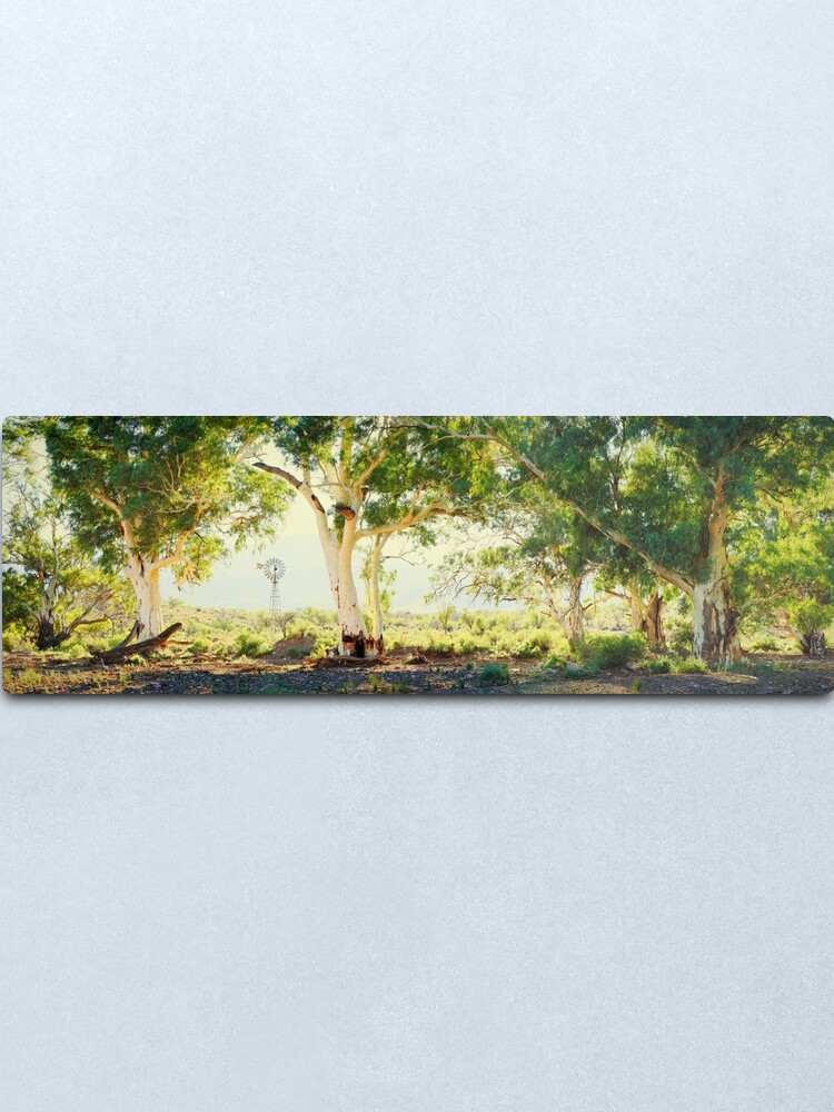Alternate view of River Gums, Flinders Ranges, South Australia Metal Print