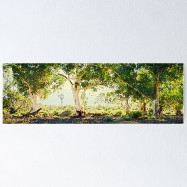 Item preview, River Gums, Flinders Ranges, South Australia designed and sold by Michael Boniwell.