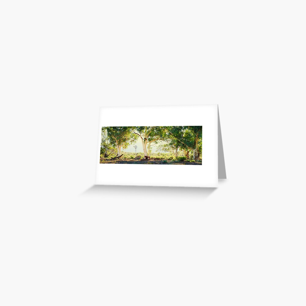 River Gums, Flinders Ranges, South Australia Greeting Card