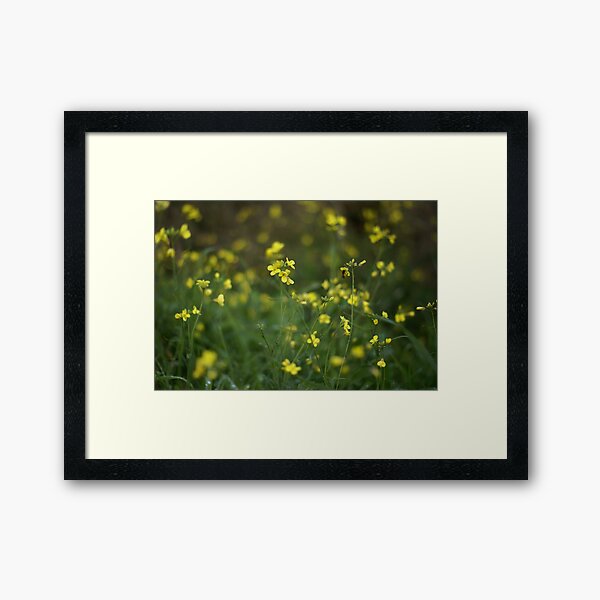 and then they kissed Framed Art Print