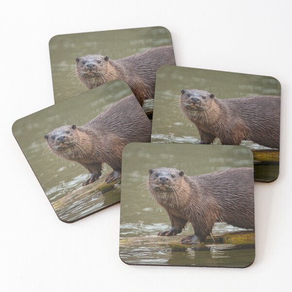 Item preview, Otterly Gorgeous designed and sold by iaintall.