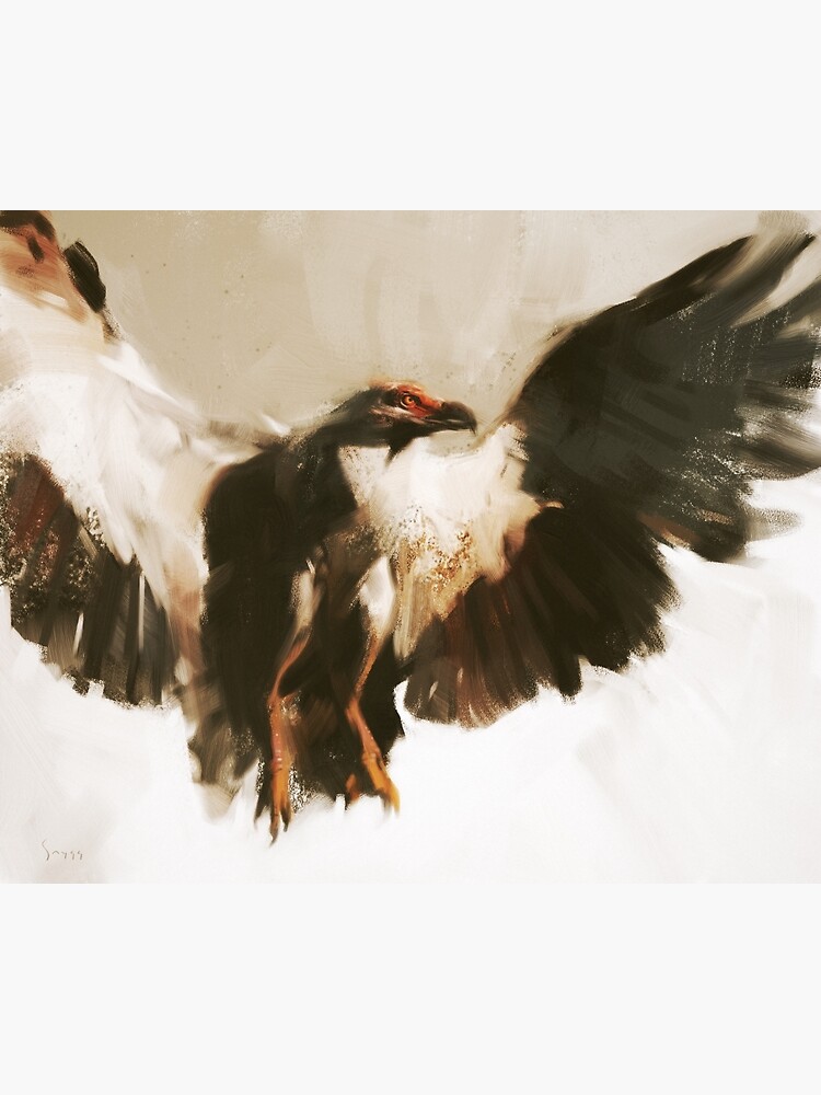 Vulture by mattiassnygg