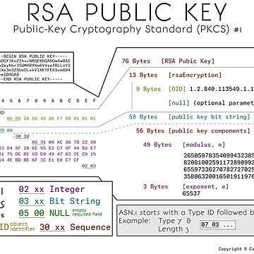 Artwork thumbnail, Public RSA Key by Carl Mehner