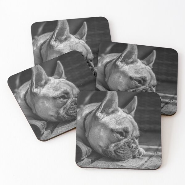 Item preview, Guss the frenchie designed and sold by chirs1990.