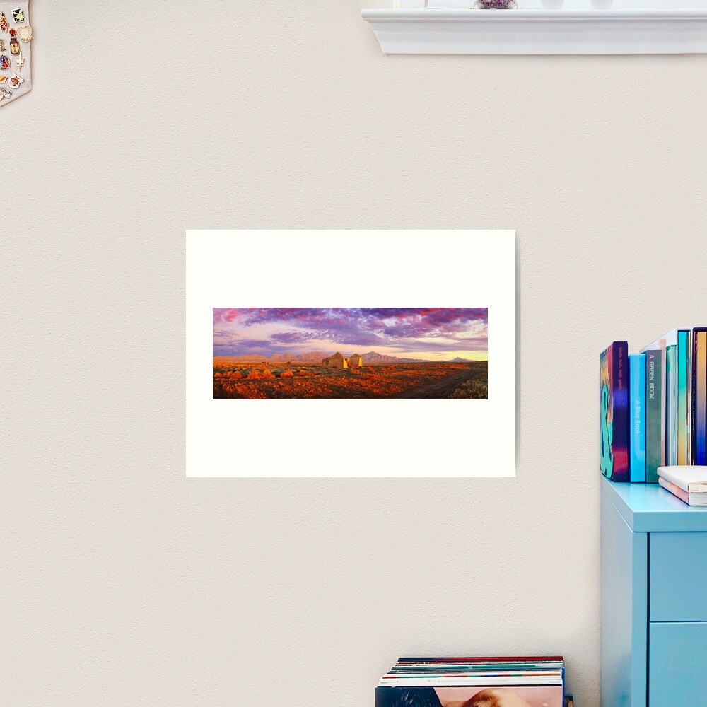 Settler's Ruin, Flinders Ranges, South Australia Art Print