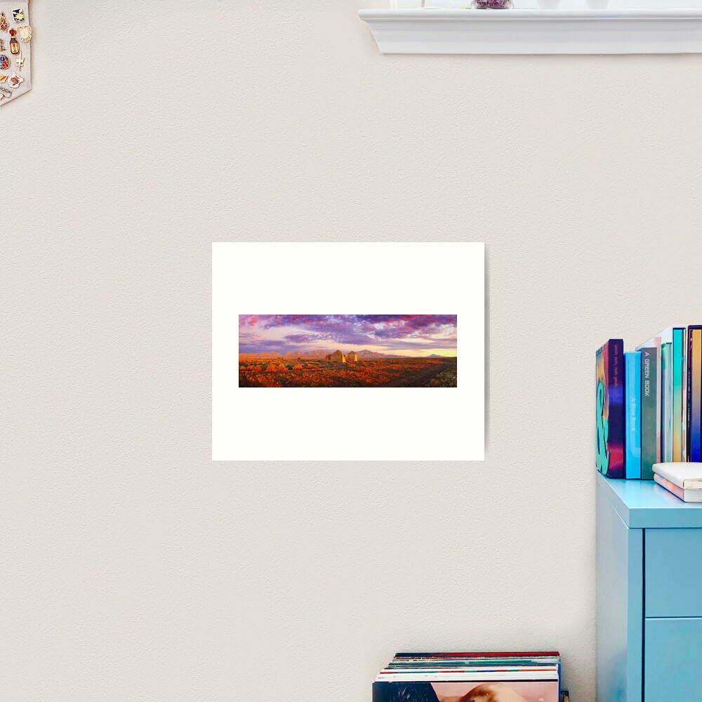 Settler's Ruin, Flinders Ranges, South Australia Art Print