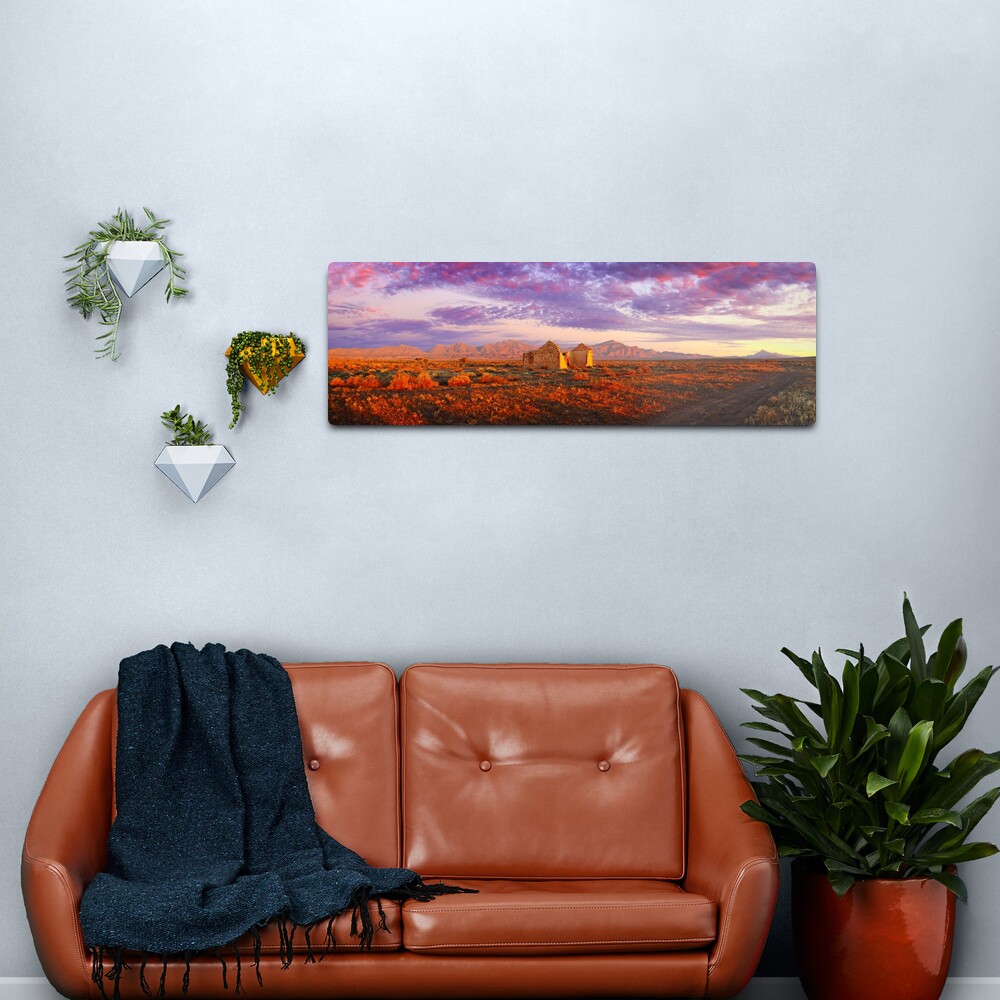 Settler's Ruin, Flinders Ranges, South Australia Metal Print