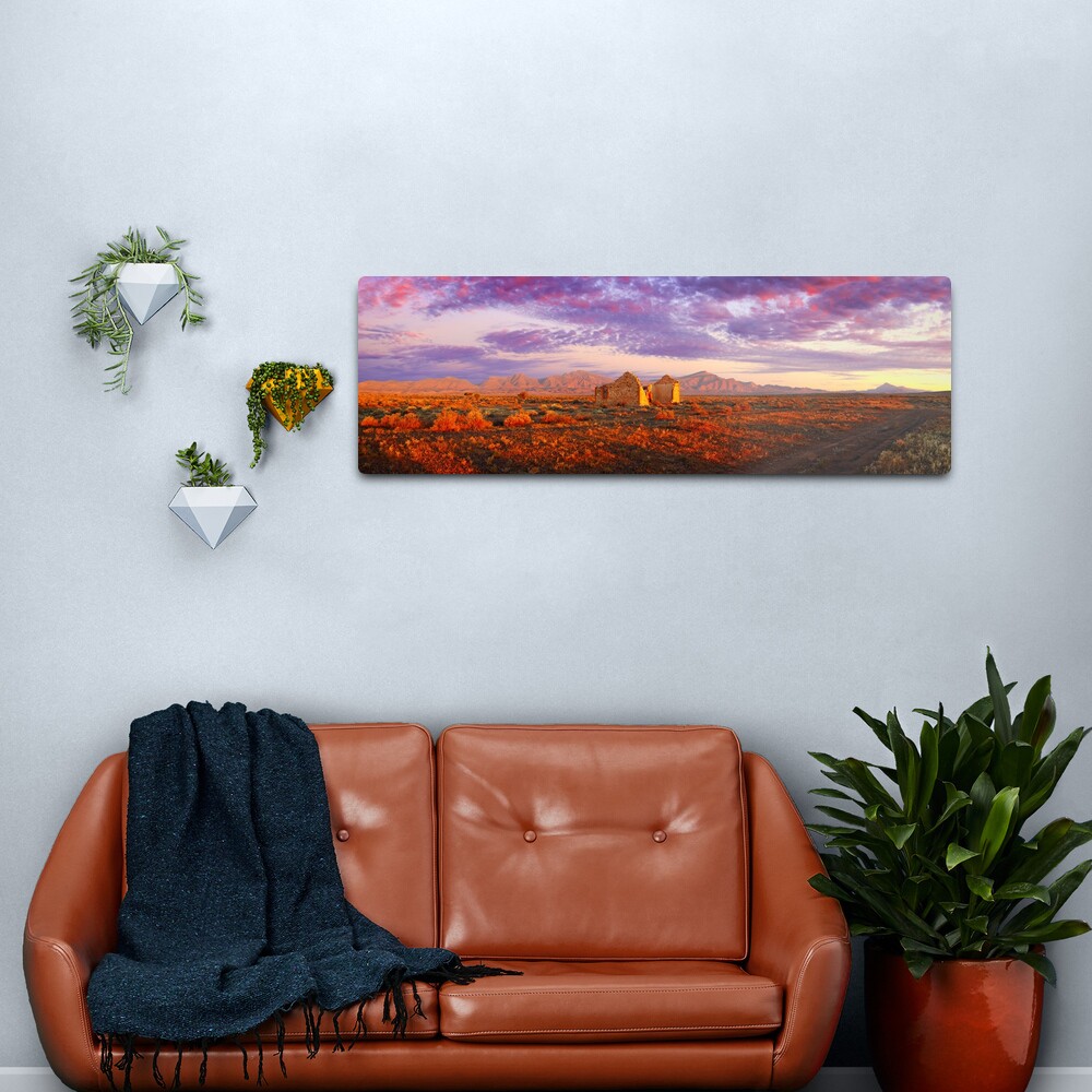 Settler's Ruin, Flinders Ranges, South Australia Metal Print