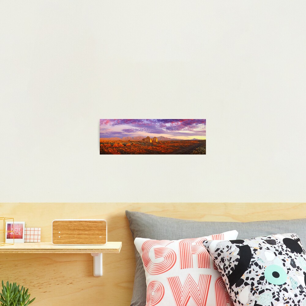 Settler's Ruin, Flinders Ranges, South Australia Photographic Print